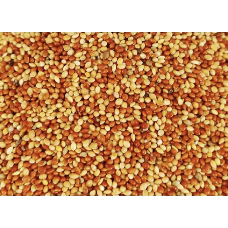 MILET PUTIH MIX MILET MERAH CAMPUR PAKAN BURUNG love bird kutut dll