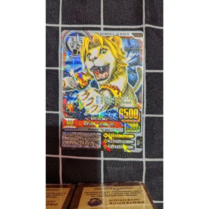 ANIMAL KAISER RAGING CELEO LEO JR.