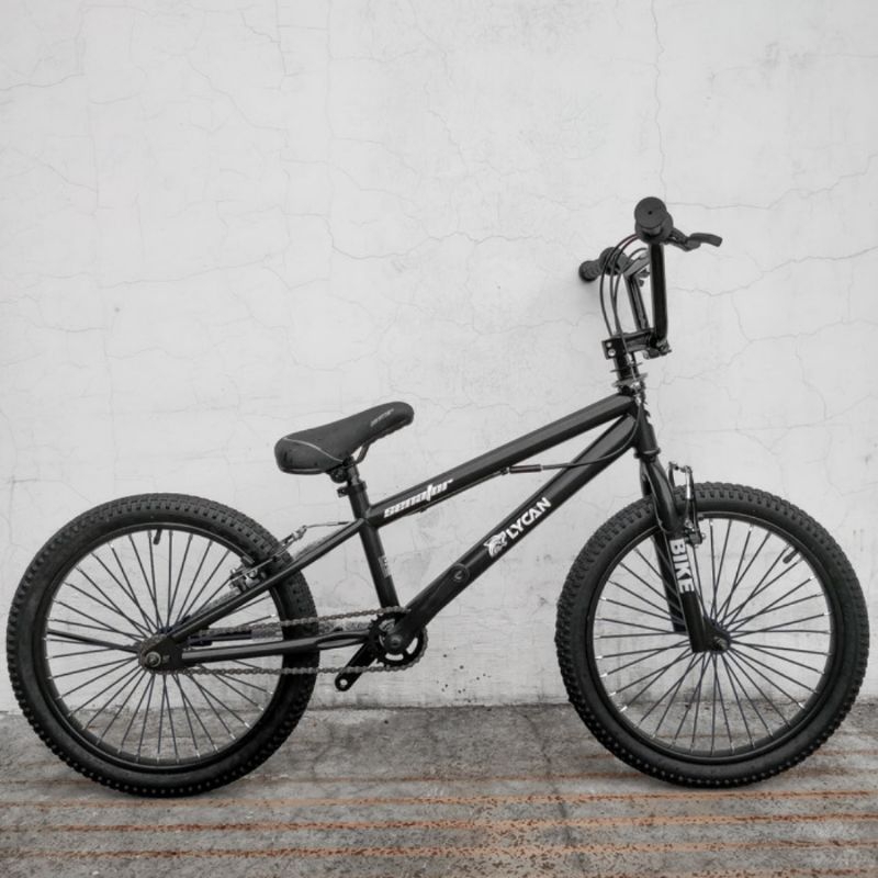 Bmx senator 20 lychan