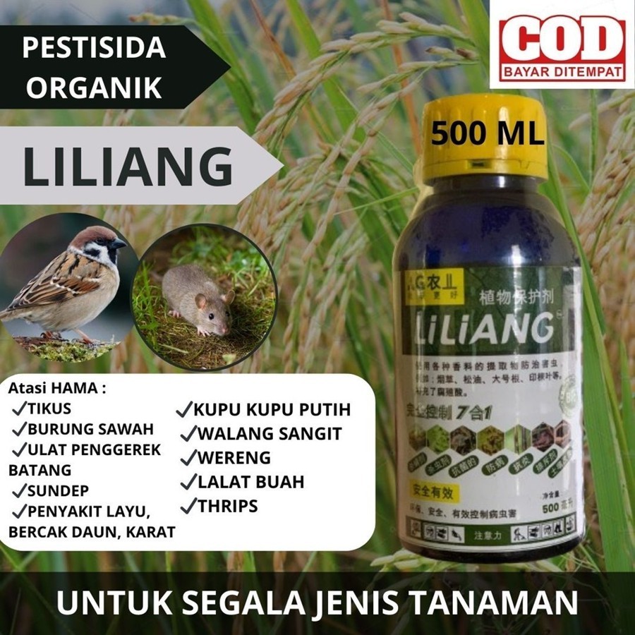 Liliang Pestisida Organik Untuk Semua Tanaman, Pengusir Hama Tikus Dan Burung Emprit