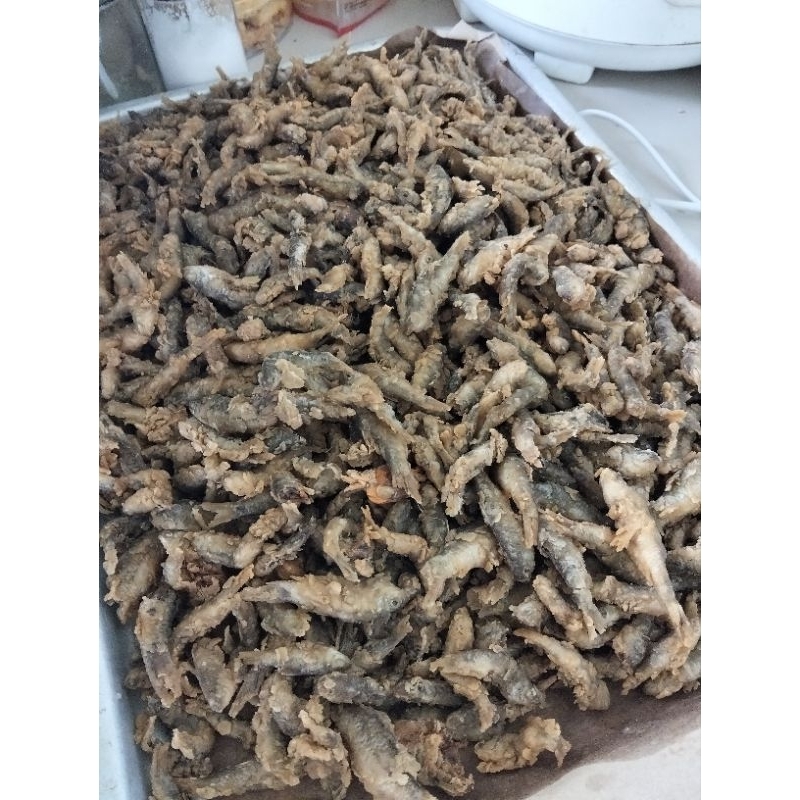 

link co wader,belut,usus krispi