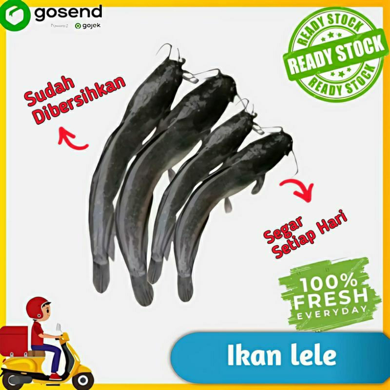 

Ikan lele segar - Sayur Segar -Tukang Sayur Palembang