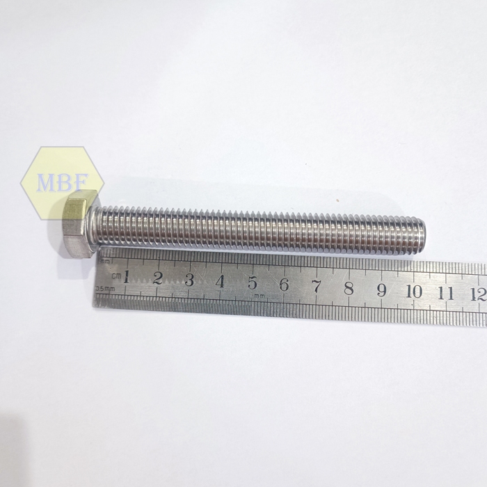 M12 x 100 Baut Hexagon Stainless 304 M12x100