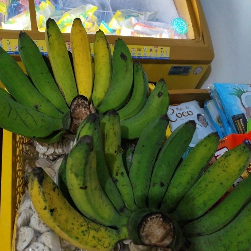 

Pisang Raja / pisang rajo