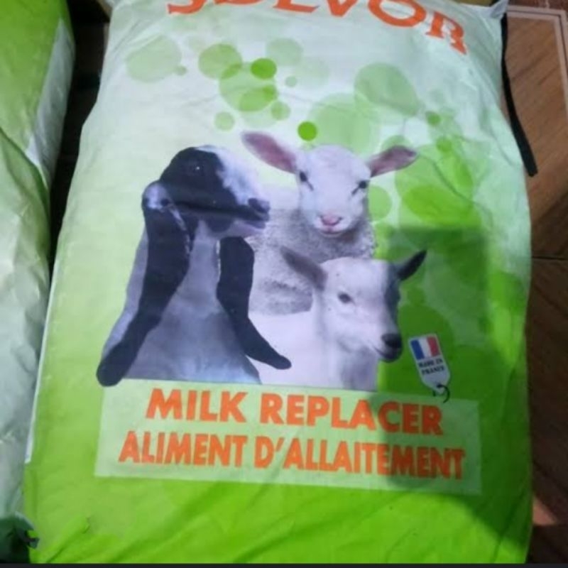 Solvor susu anakan hewan ternak pengganti susu indukan kambing domba sapi 1kg