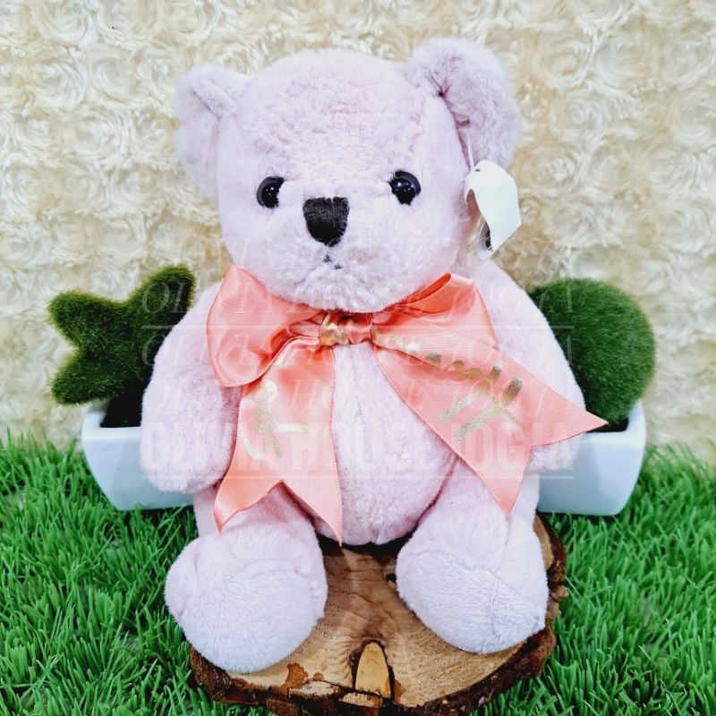 Boneka Bear Pink Boneka Beruang Pita Pink Boneka Bear Mini