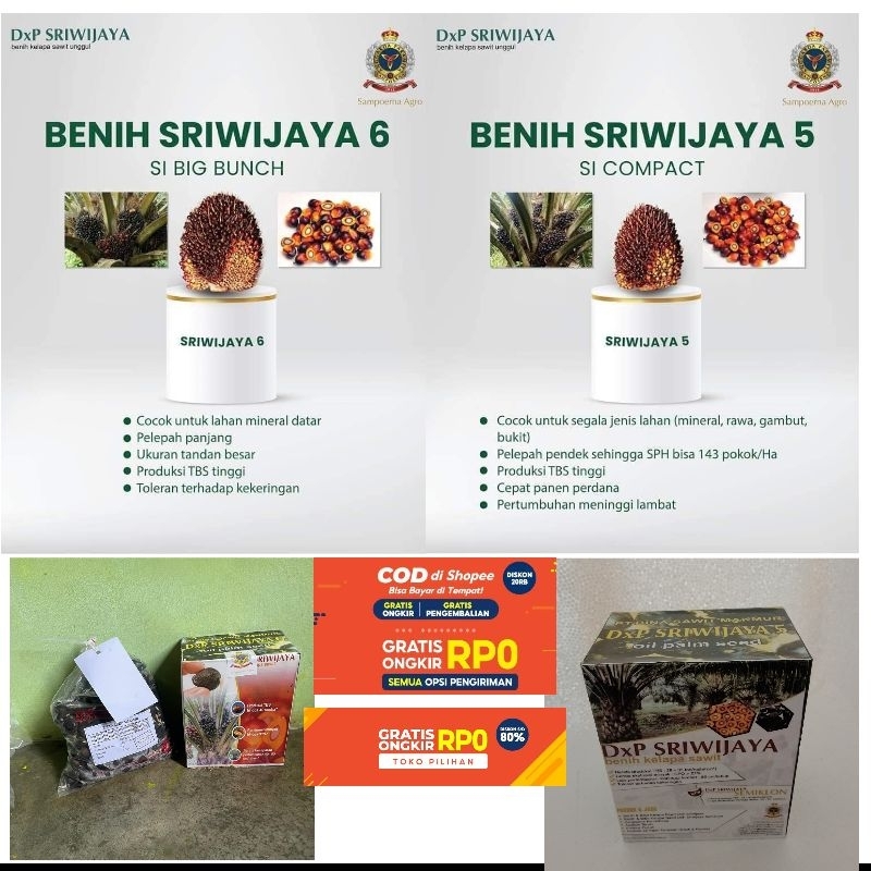 

SEMIKILON dxp sriwijaya