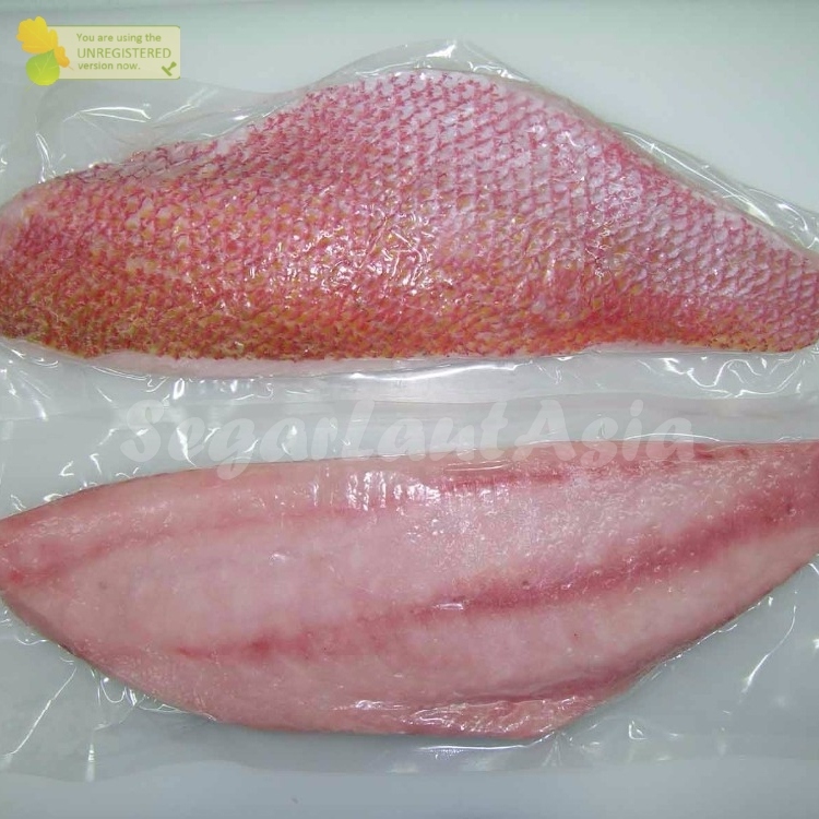 

Kakap Merah Fillet Ikan Kakap Fillet Segar 1Kg