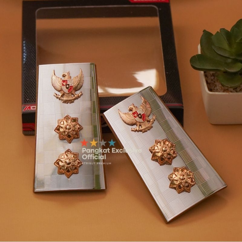 PANGKAT PDH WAKIL BUPATI / WAKIL WALIKOTA TERBARU TAHUN 2025 - PANGKAT PDH WAKIL WALIKOTA