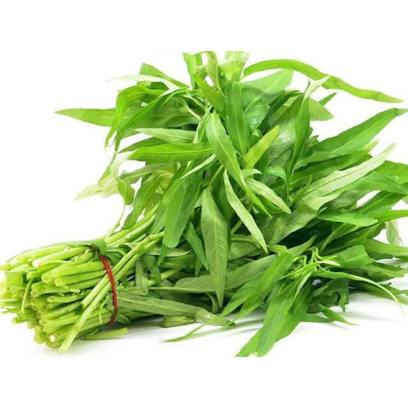 

sayur kangkung segar per ikat ( 1 ikat ) fresh