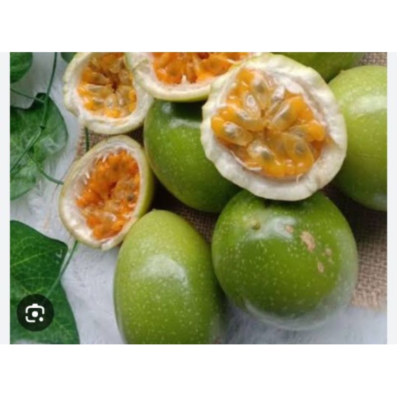 

1 kg buah markisa asam segar