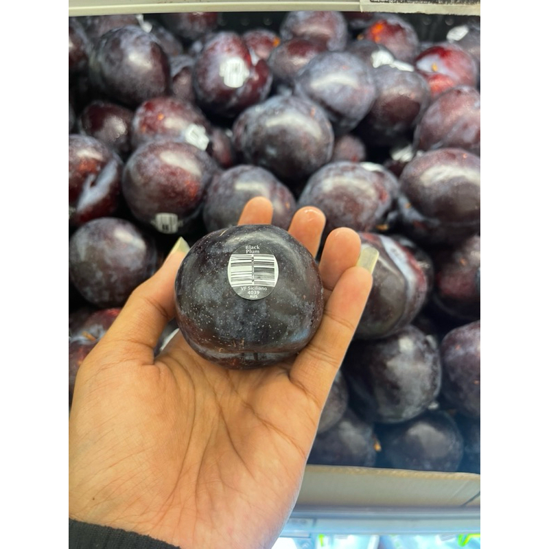 

Plum black angelino | Buah import fresh 1kg
