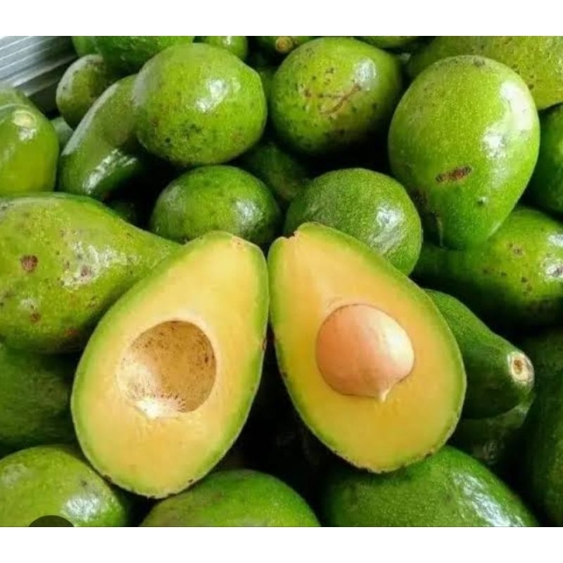 

BUAH ALPUKAT( MENGKAL ATAU MATANG) 1 Kg