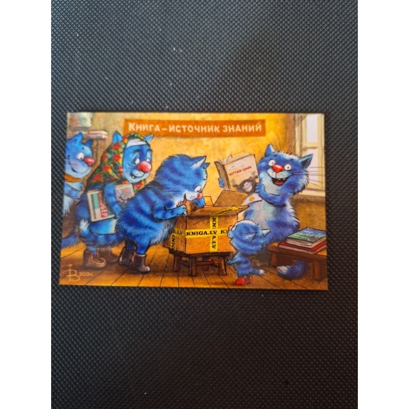 

kartu pos bluecat/bluecat postcard