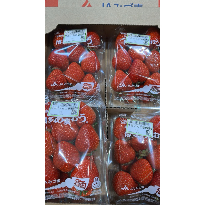 

CO LİNK PRODUK JAPAN