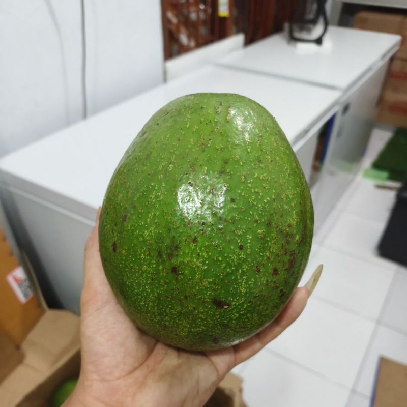 

alpuket wina asli semarang