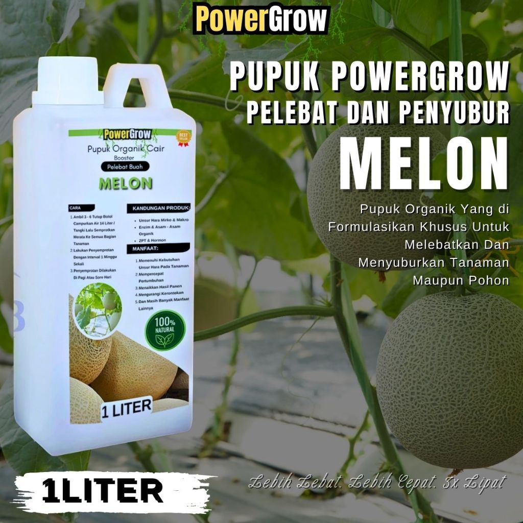 Pupuk Buah Melon Pembesar Pemnyubur Buah Melon Booster Melon Perangsang Buah Cepat Berbuah Lebat