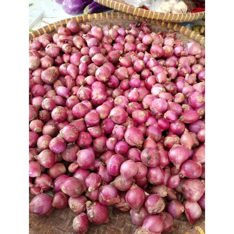 

Sayuran Dan Buah buahan Segar Lokal.