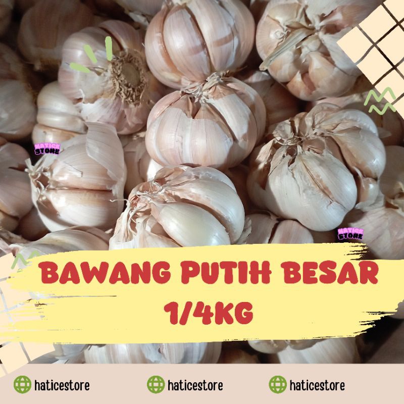 

BAWANG PUTIH SUPER JUMBO BESAR-BESAR 1/4KG