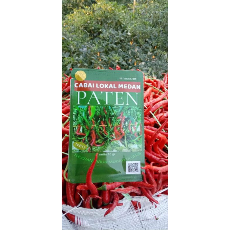 PATEN CABE LOKAL MEDAN