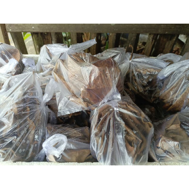 Daun ketapang dan Ekstrak ketapang