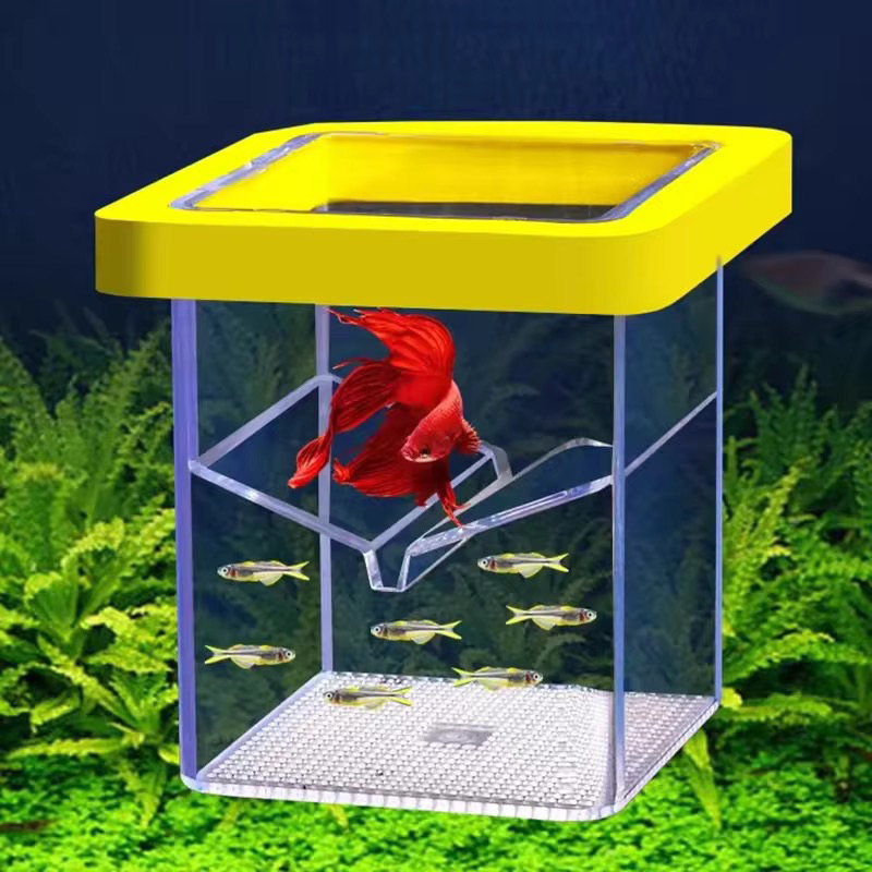 Breeding Box / Karantina Ikan Guppy Platy Swordtail Kualitas Premium Apung