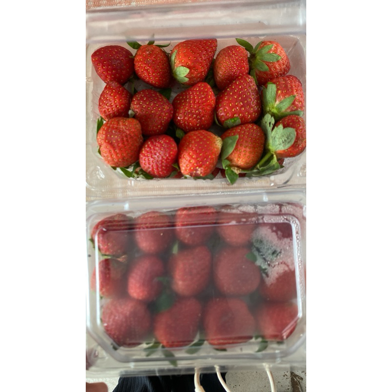 

strobery/strawberry per pack