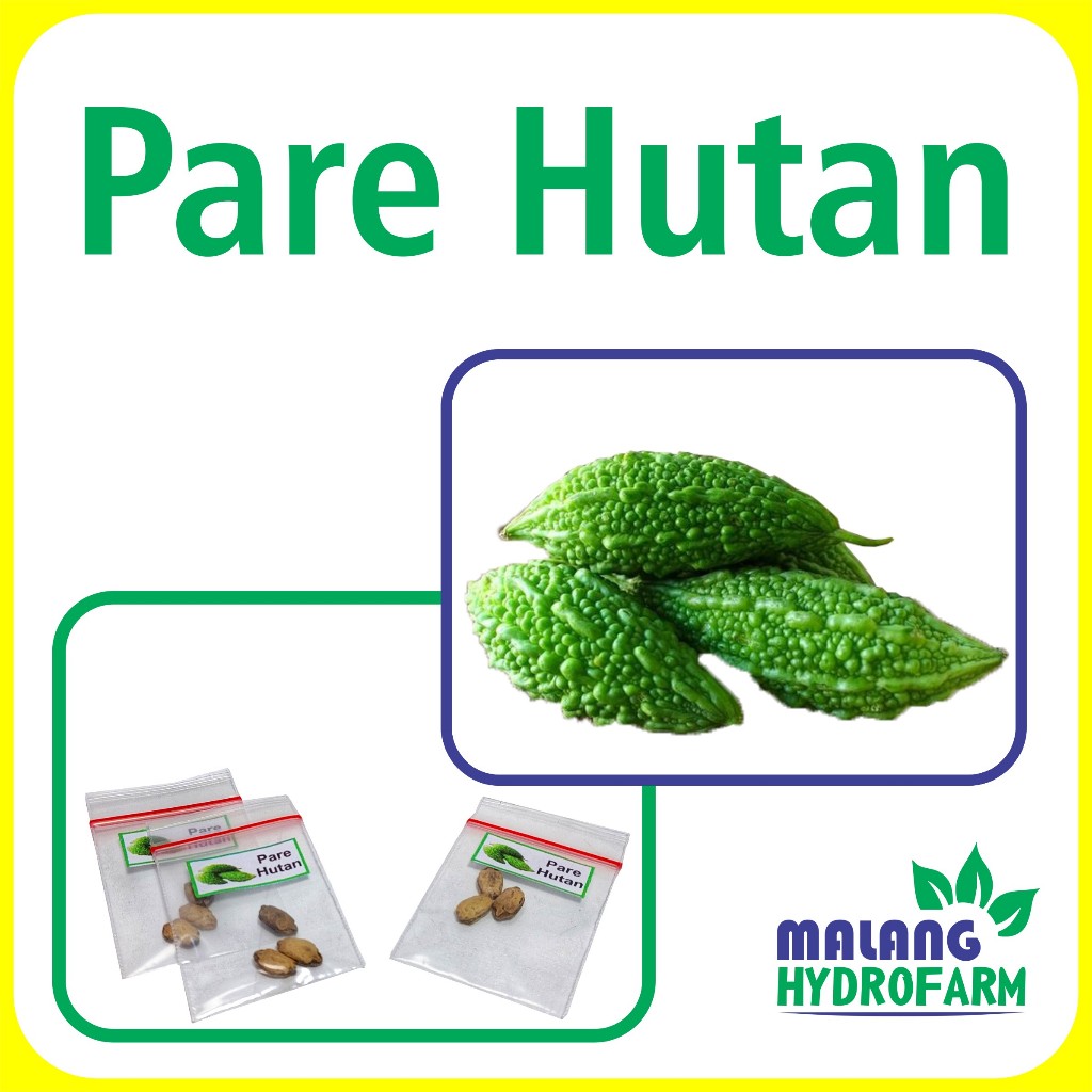 Benih Pare Hutan Unggulan Berkualitas biji bibit repack Paria Mini hydroponik hidroponik sayur sayur