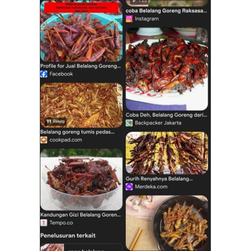 

Belalang Goreng 100pcs