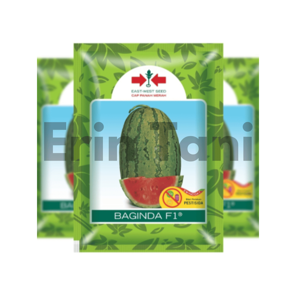 Benih semangka BAGINDA 380 butir semangka lonjong berbiji baginda small pouch BAGINDA SP