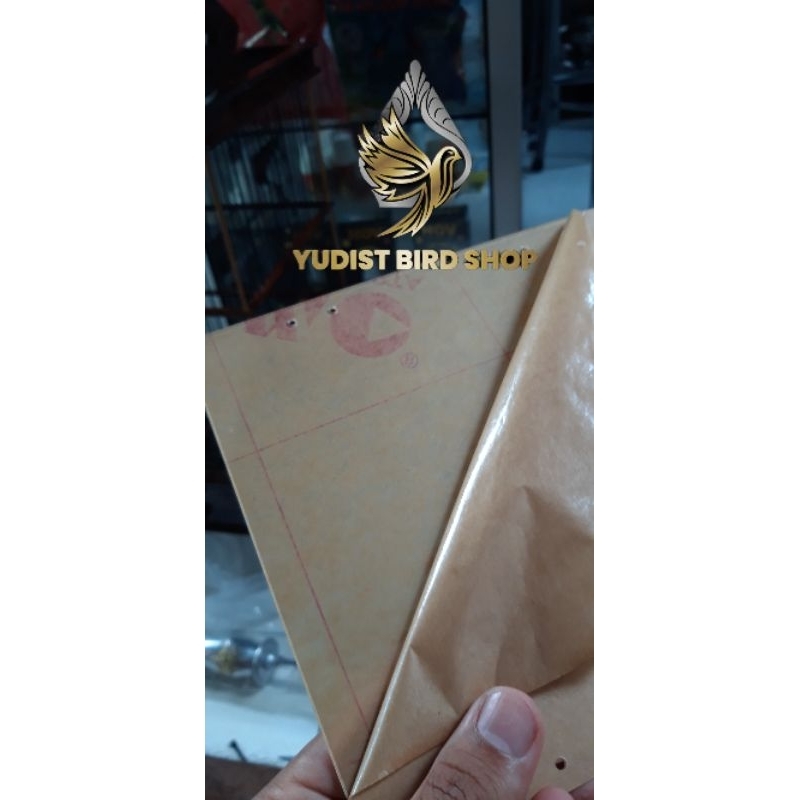 PLAPON KOTAK SANGKAR PCMI PLECI