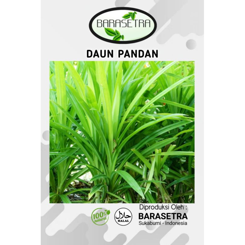 

DAUN PANDAN bumbu masakan yang sangat baik dan memiliki segudang manfaat untuk kesehatan tubuh manusia segera order disini ditoko kami sekarang juga Tersedia Daun segar hijau.