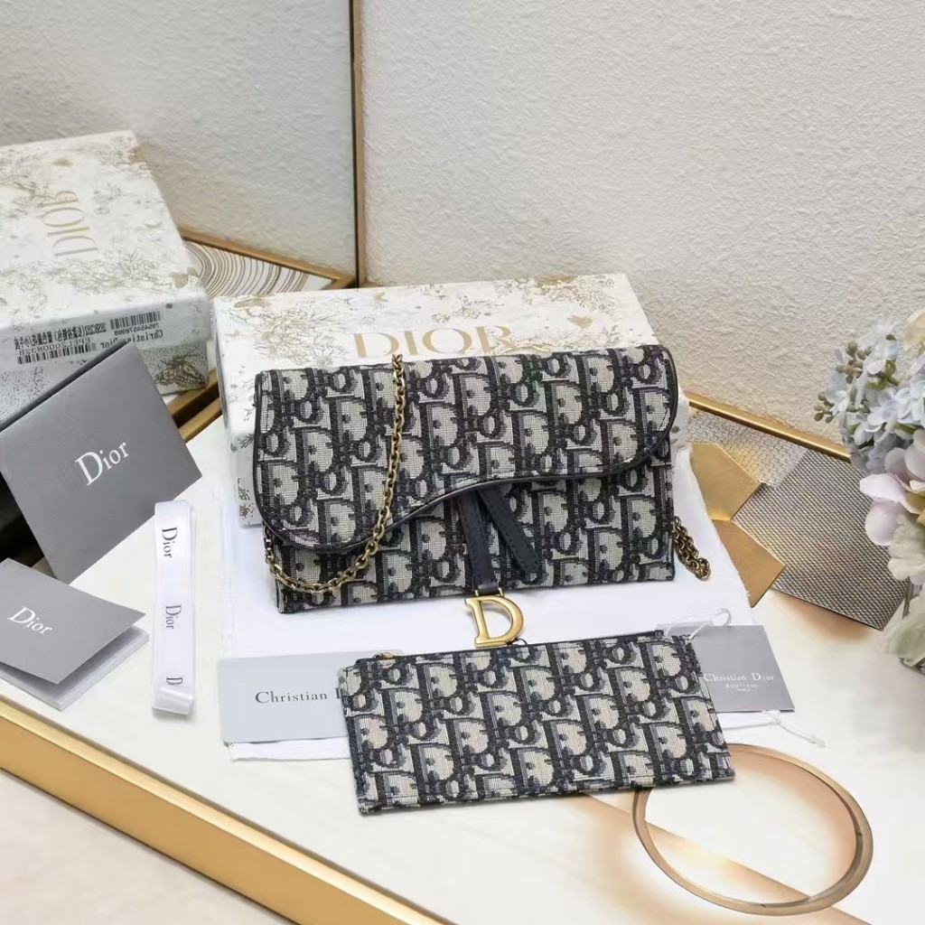 Dior Saddlewoc Chain Woc Series Bag