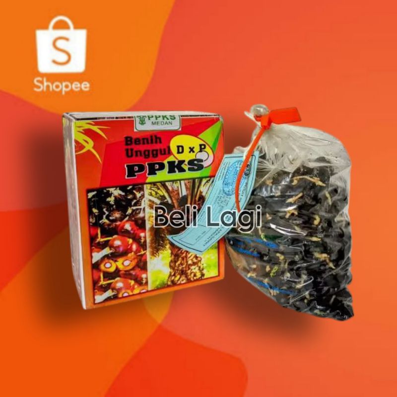bibit kecambah sawit ppks239 (perbutir)