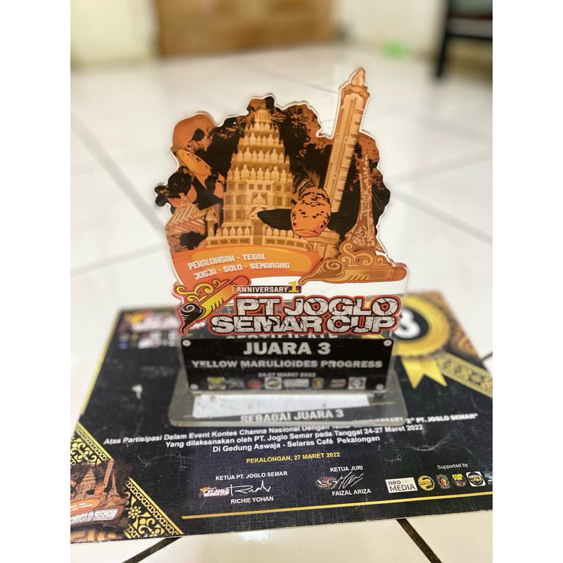 PT Joglo Semar J3 yellow maru progres