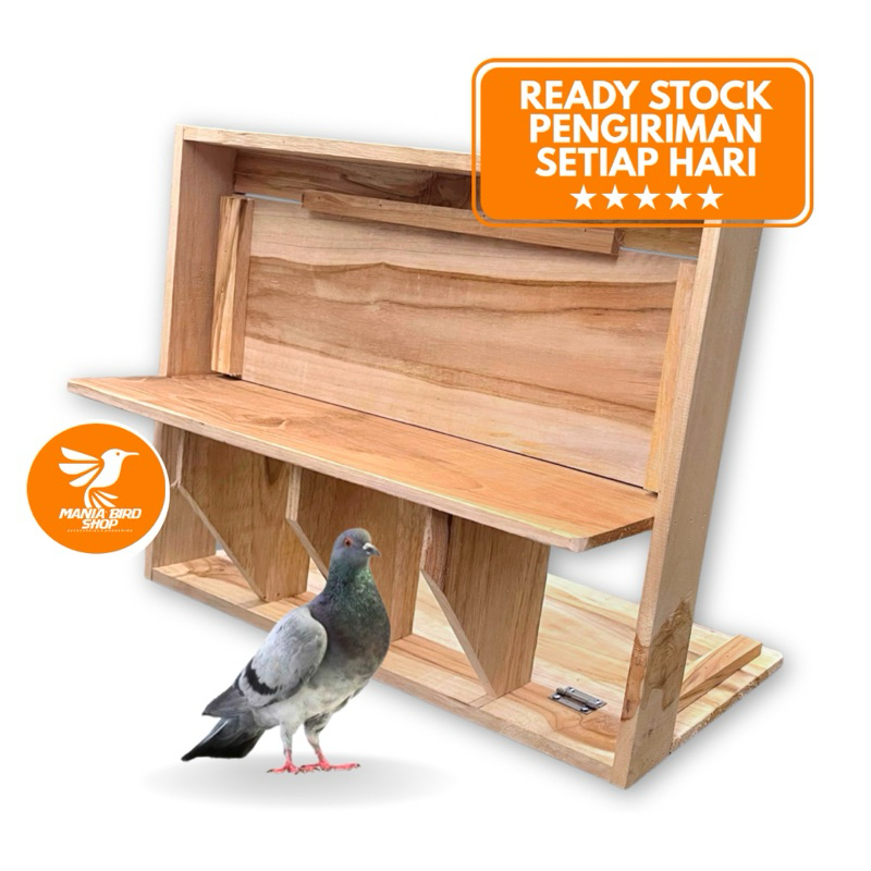 Pintu Trap Merpati Pos kayu jati