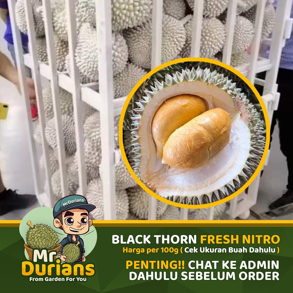 

Durian BlackThorn Duri HItam Fresh Nitrogen