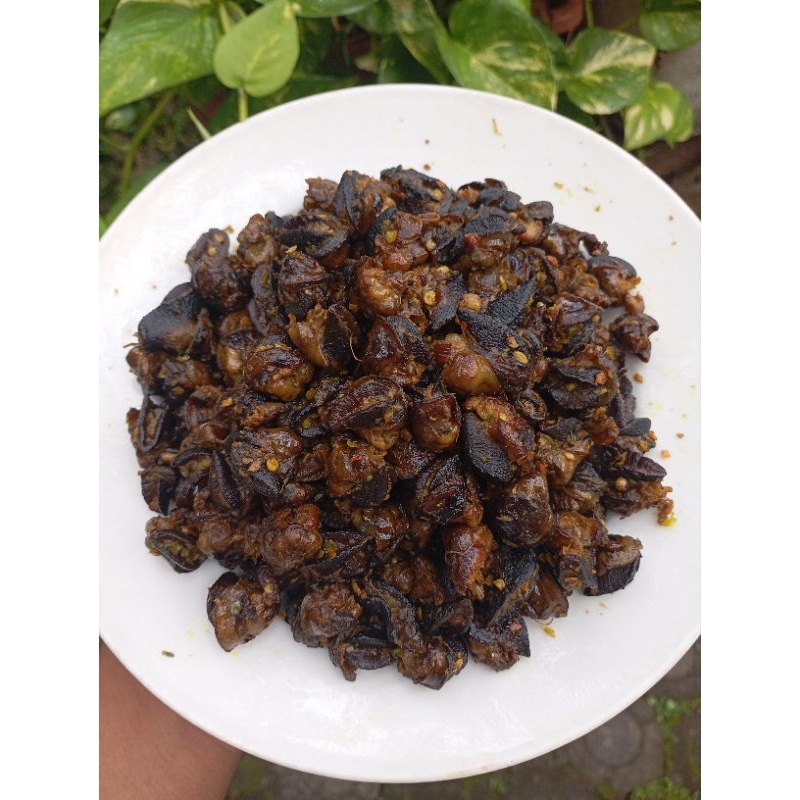 

KRENGSENGAN BEKICOT ( 02 ) BERAT 2 Kg