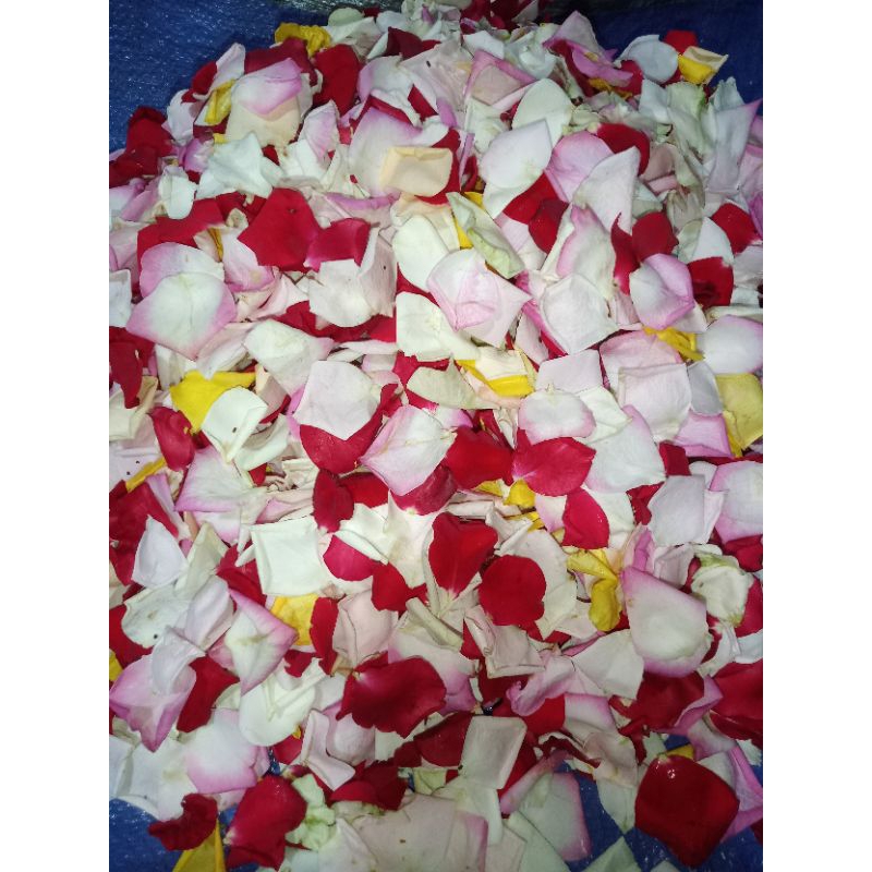 Bunga mawar tabur asli segar CIMAHI BDG PADALARANG