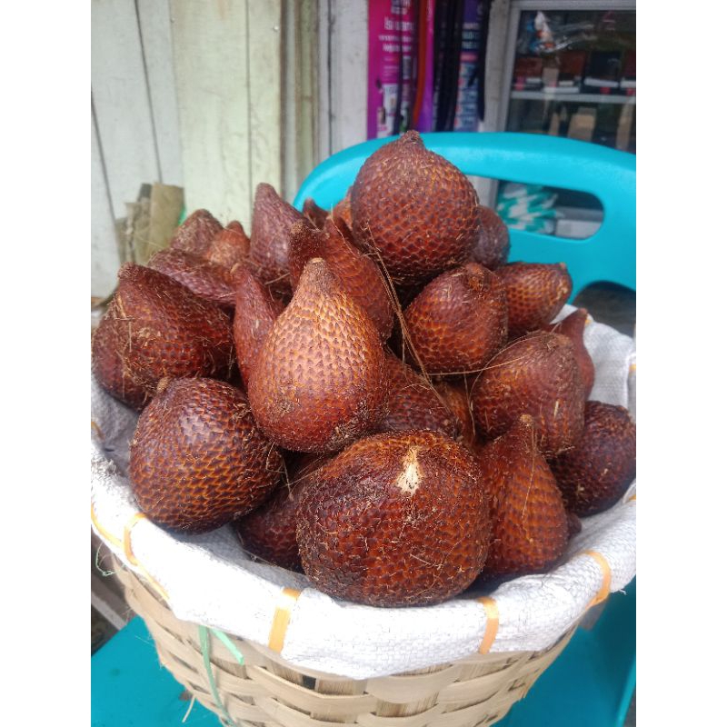

salak manis nasty ponsel