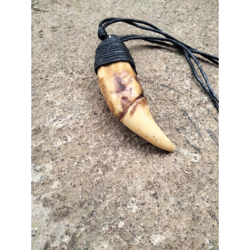 KALUNG TARING BERUANG BESAR/JUMBO REPLIKA