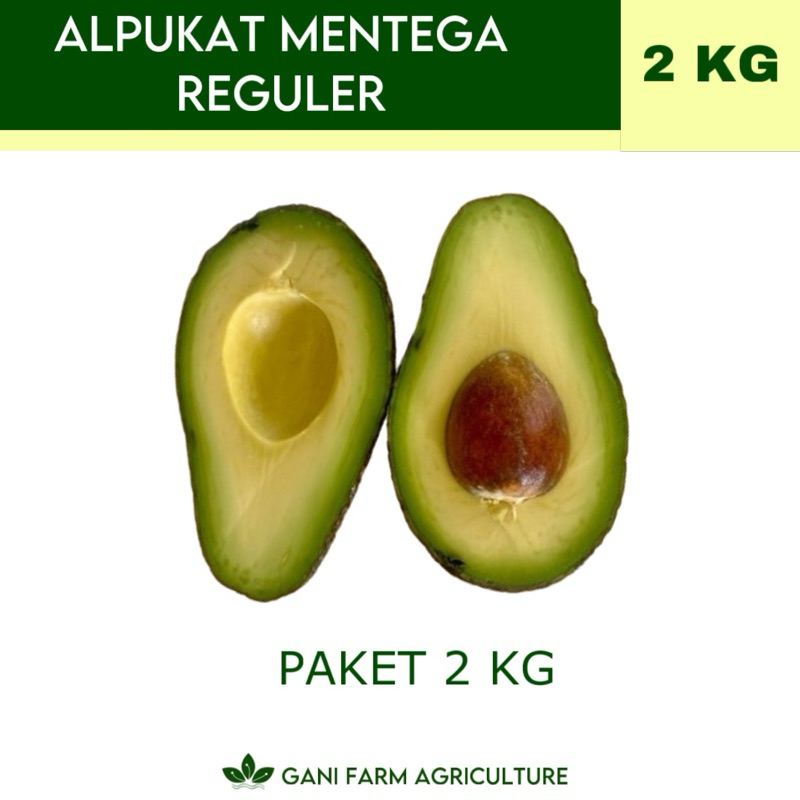 

Alpukat Mentega Reguler (PAKET 2 KG) GARANSI