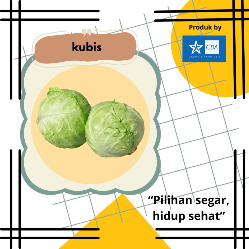 

Kubis Kol Segar Fresh ready 1kg siap Kirimm!