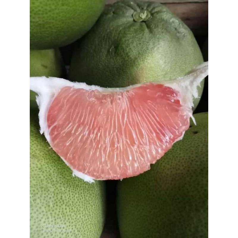 

paket hemat pamelo pamelo madu pati tanpa biji 10 kg bonus pisang tanduk 5 biji