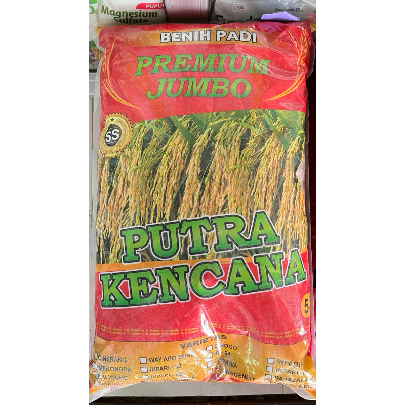 Benih Padi Premium Jumbo CAKRABUANA Putra Kencana 5 kg