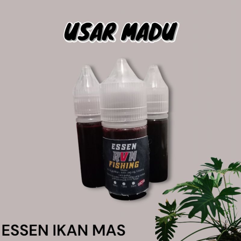 Essen USAR MADU ikan mas