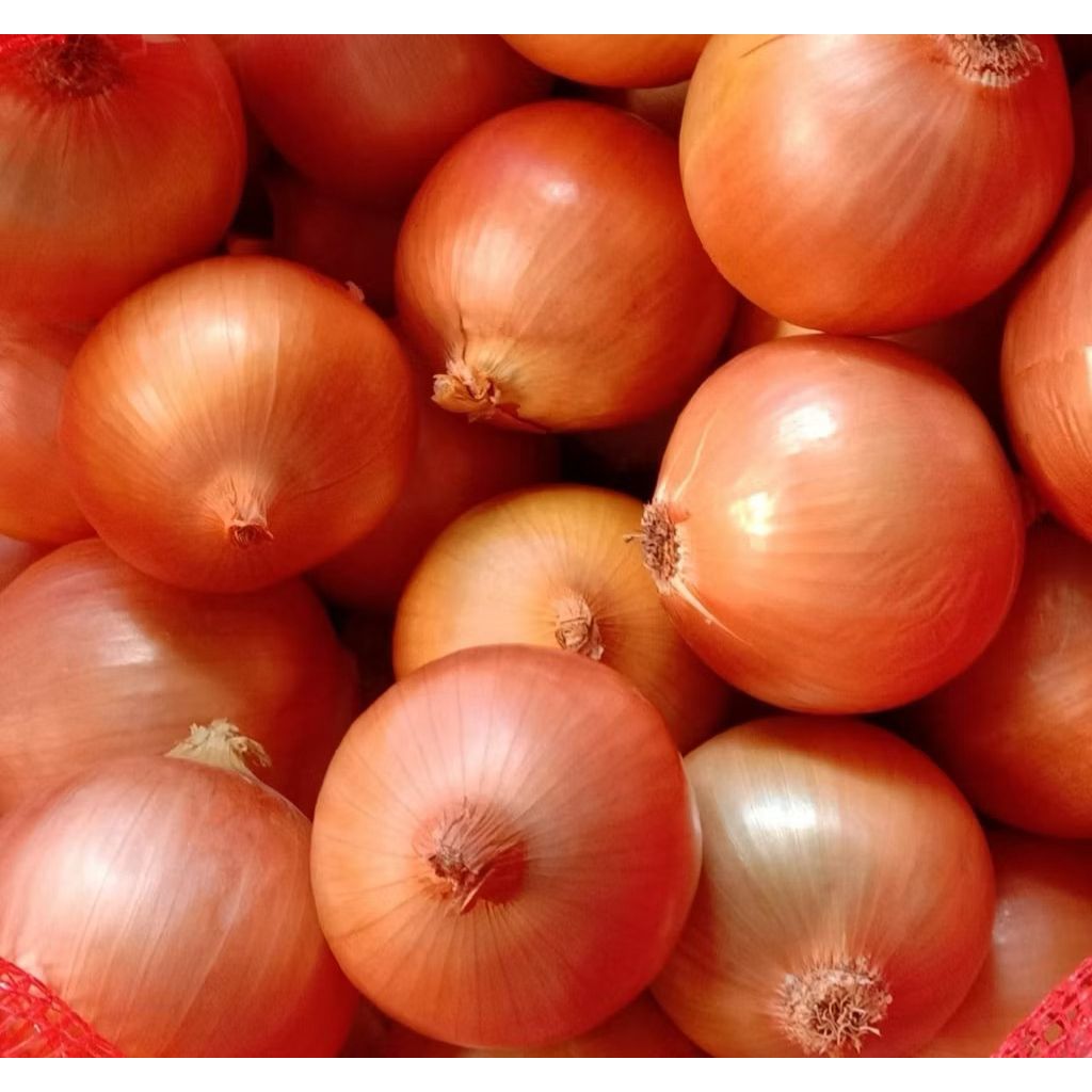 

1KG - Bawang Bombay 50/60