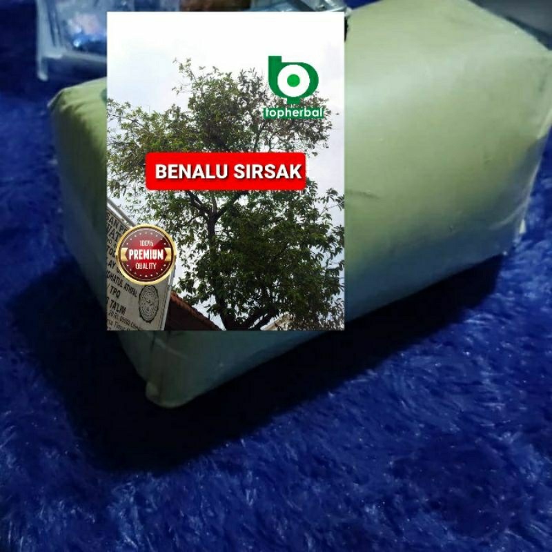 

Bubuk Benalu Sirsak 1000 Gram Kering Hijau Organik Super Premium
