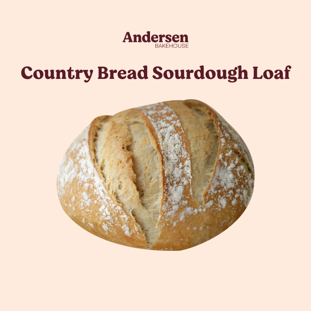 

Andersen Bakehouse Country Bread Sourdough Loaf