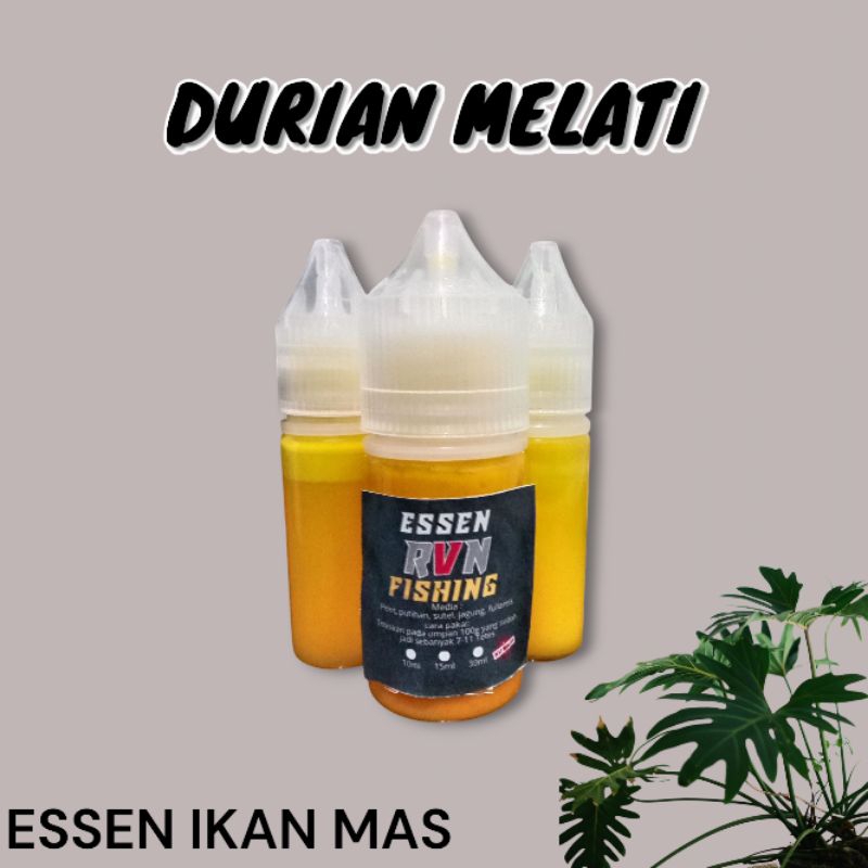Essen DURIAN MELATI ikan mas